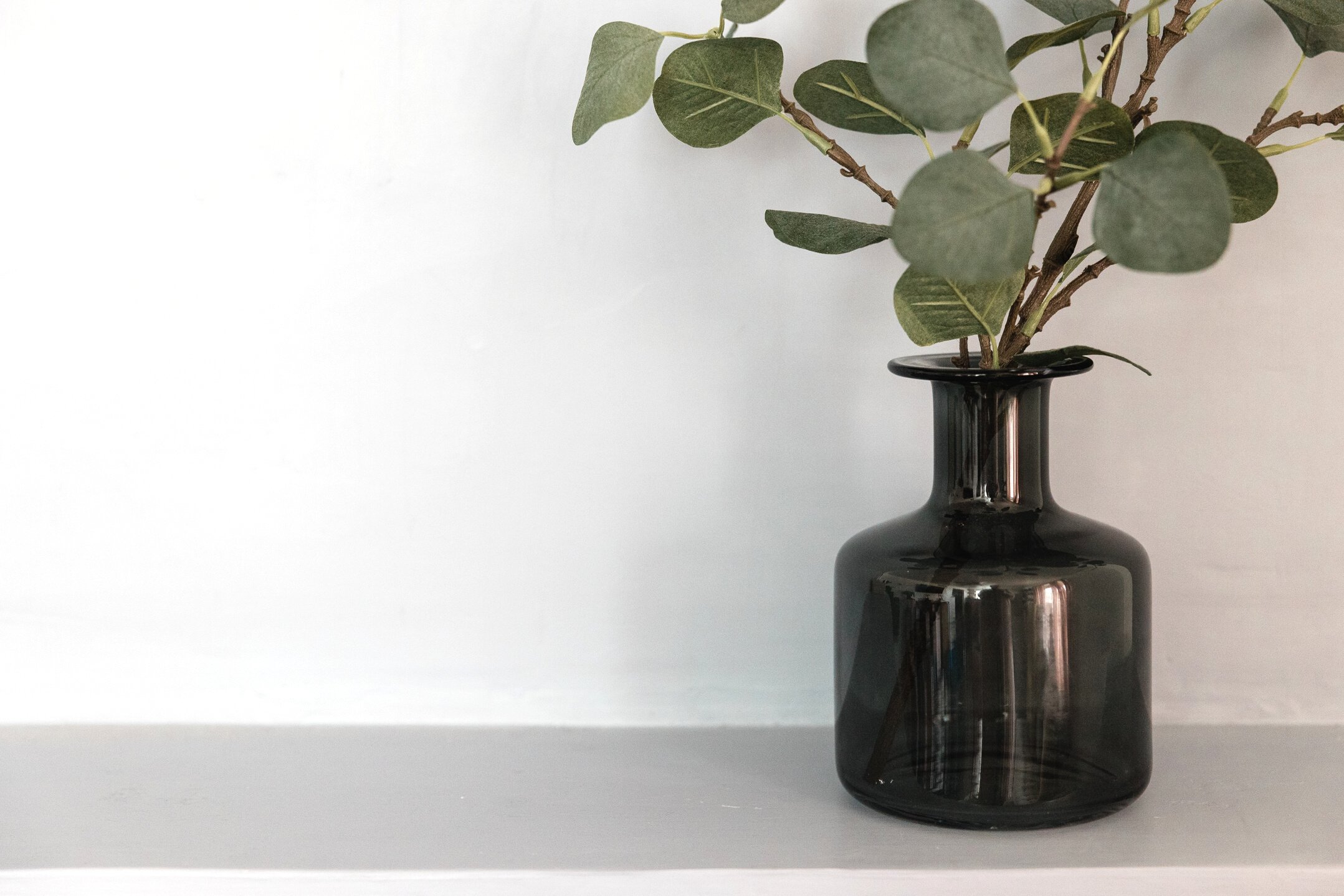 Plants on Dark Glass Vase